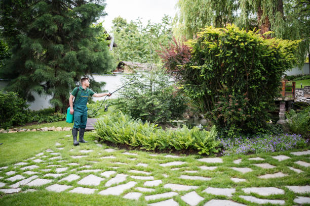 Best Affordable Pest Control Services  in Luray, VA