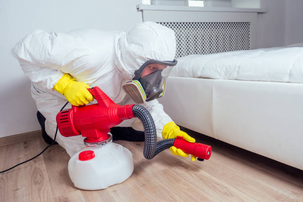 Best Termite Control Services  in Luray, VA