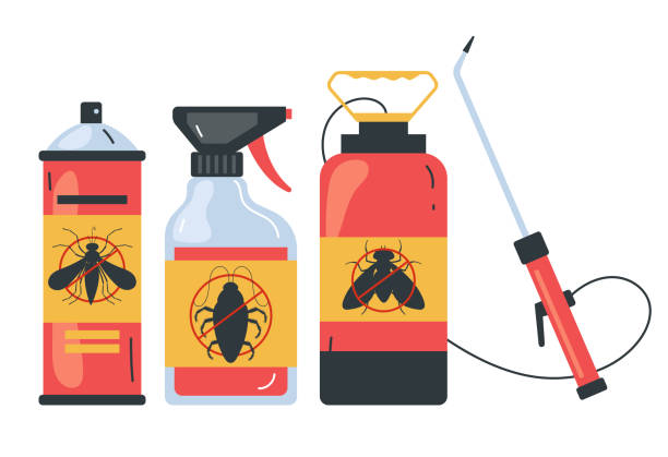 Best Termite Control Services  in Luray, VA