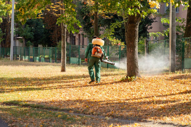 Best Affordable Pest Control Services  in Luray, VA